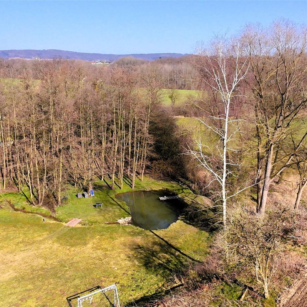 DJI_20250308131928_0024_D